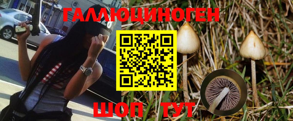 Среднеуральск  Галлюциногенные грибы MAGIC MUSHROOMS  Псилоцибиновые грибы мицелий  Вход с VPN 